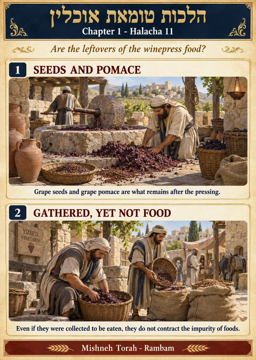Infographic for halacha 1:11