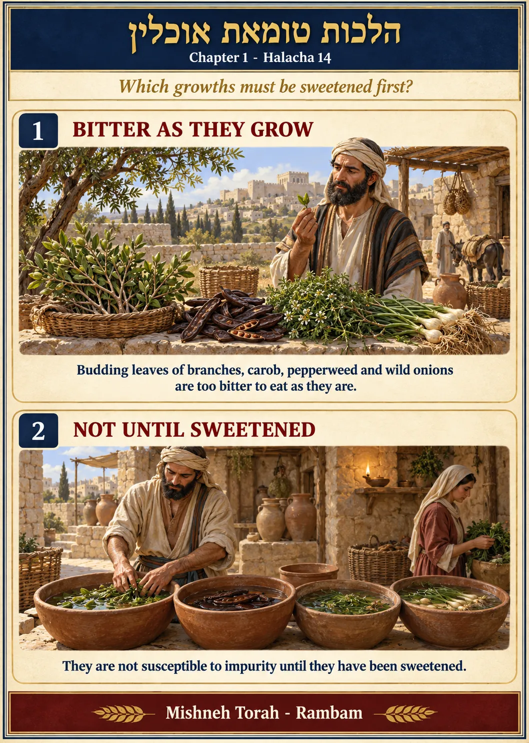 Infographic for halacha 1:14