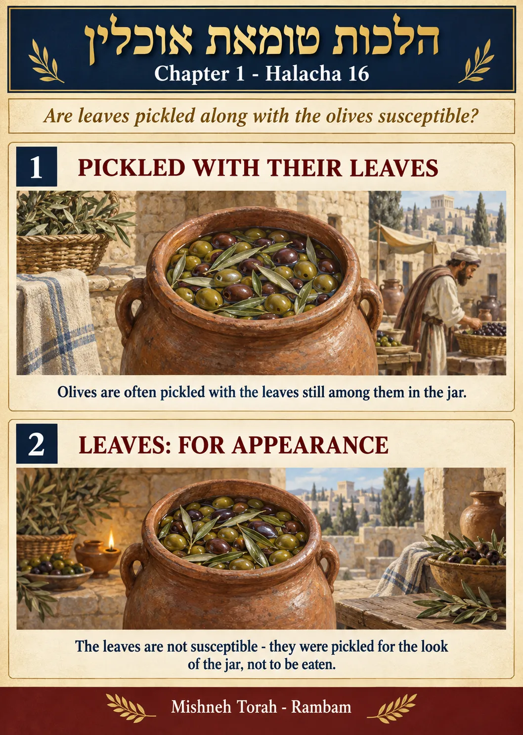 Infographic for halacha 1:16