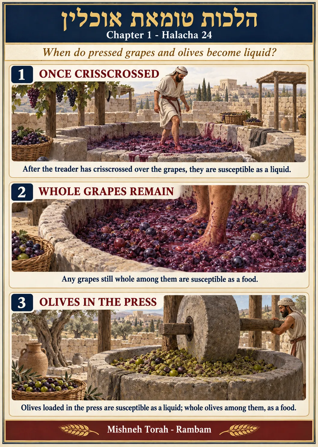 Infographic for halacha 1:24