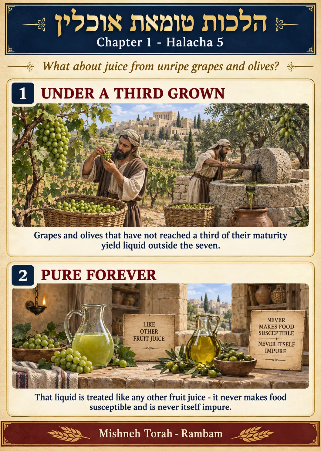 Infographic for halacha 1:5