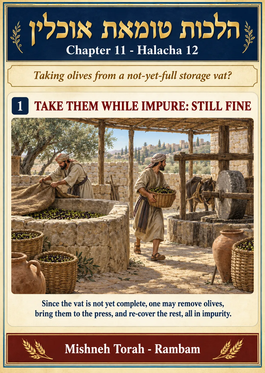 Infographic for halacha 11:12