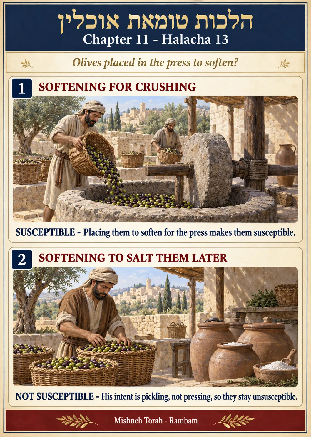 Infographic for halacha 11:13