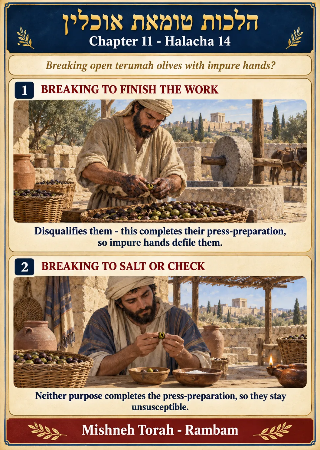 Infographic for halacha 11:14