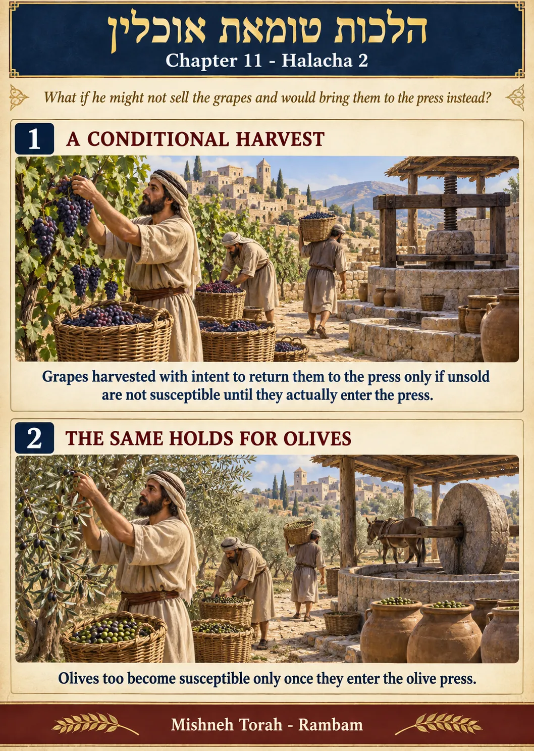 Infographic for halacha 11:2