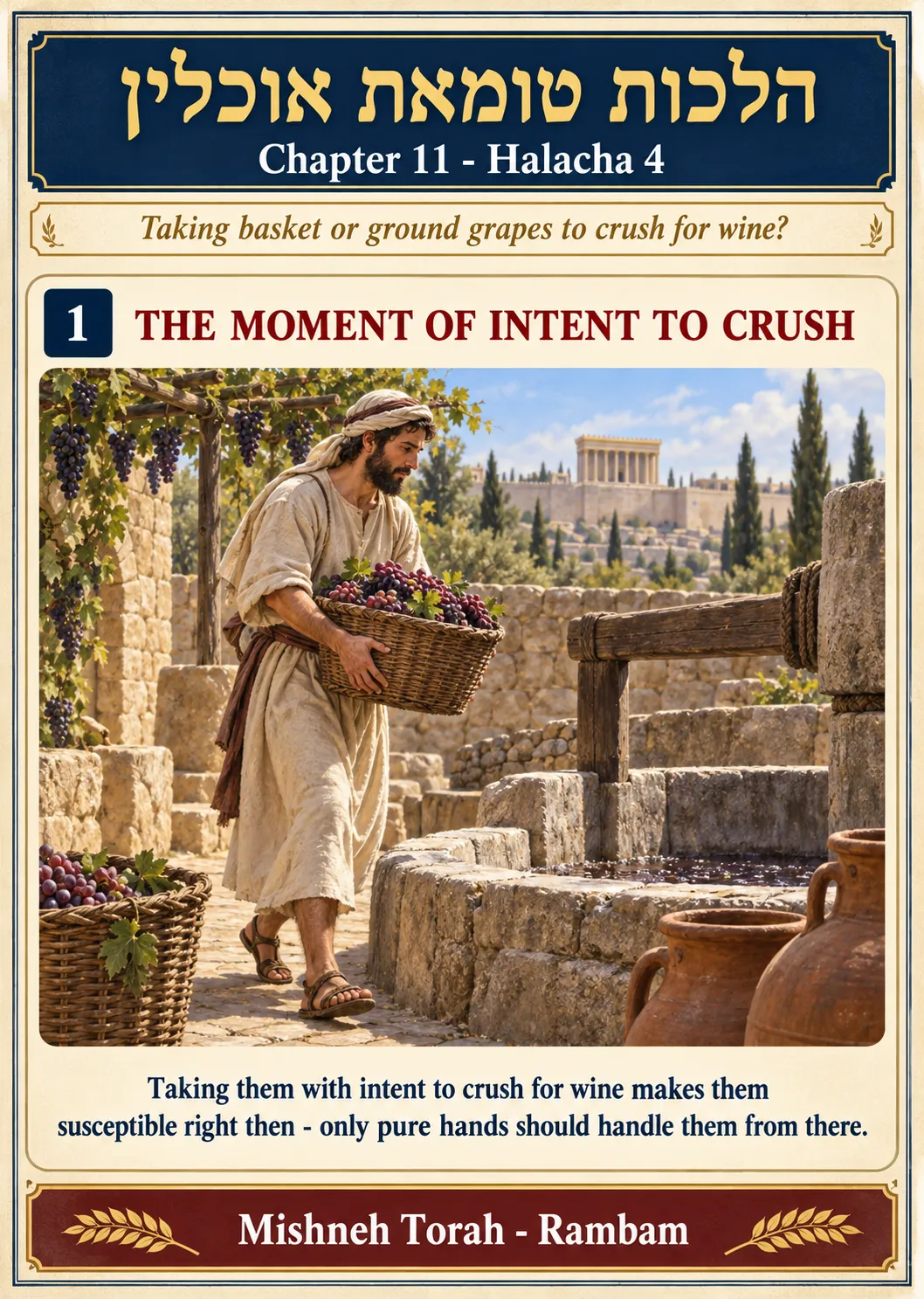 Infographic for halacha 11:4