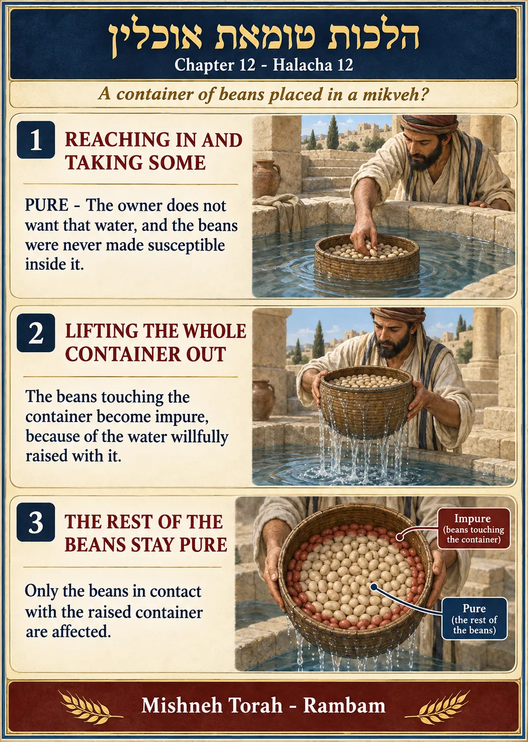 Infographic for halacha 12:12
