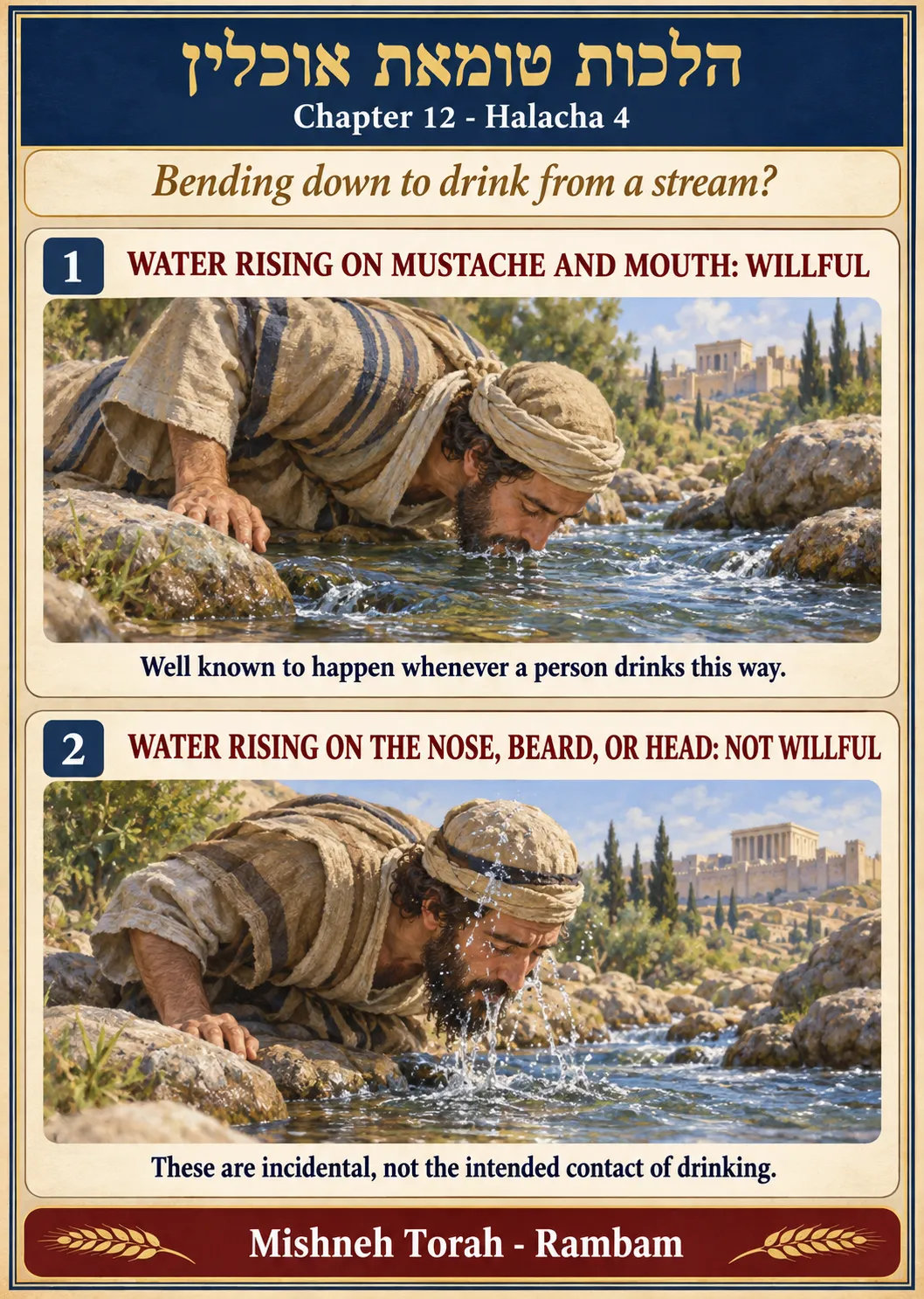 Infographic for halacha 12:4