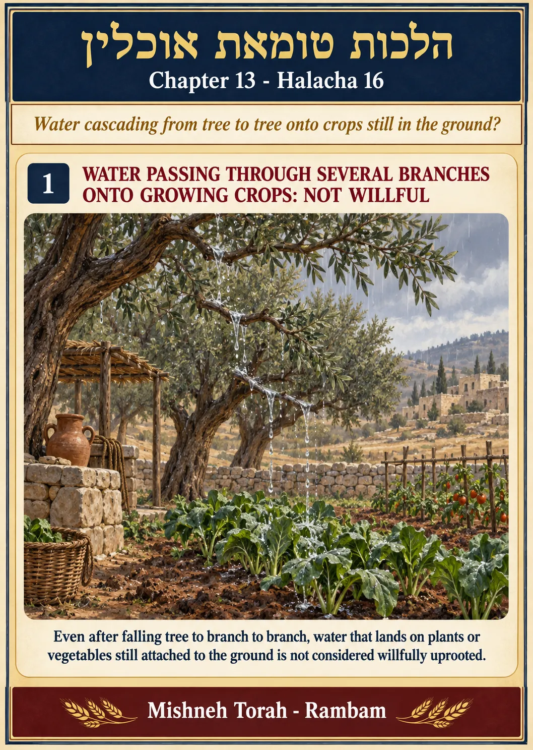 Infographic for halacha 13:16