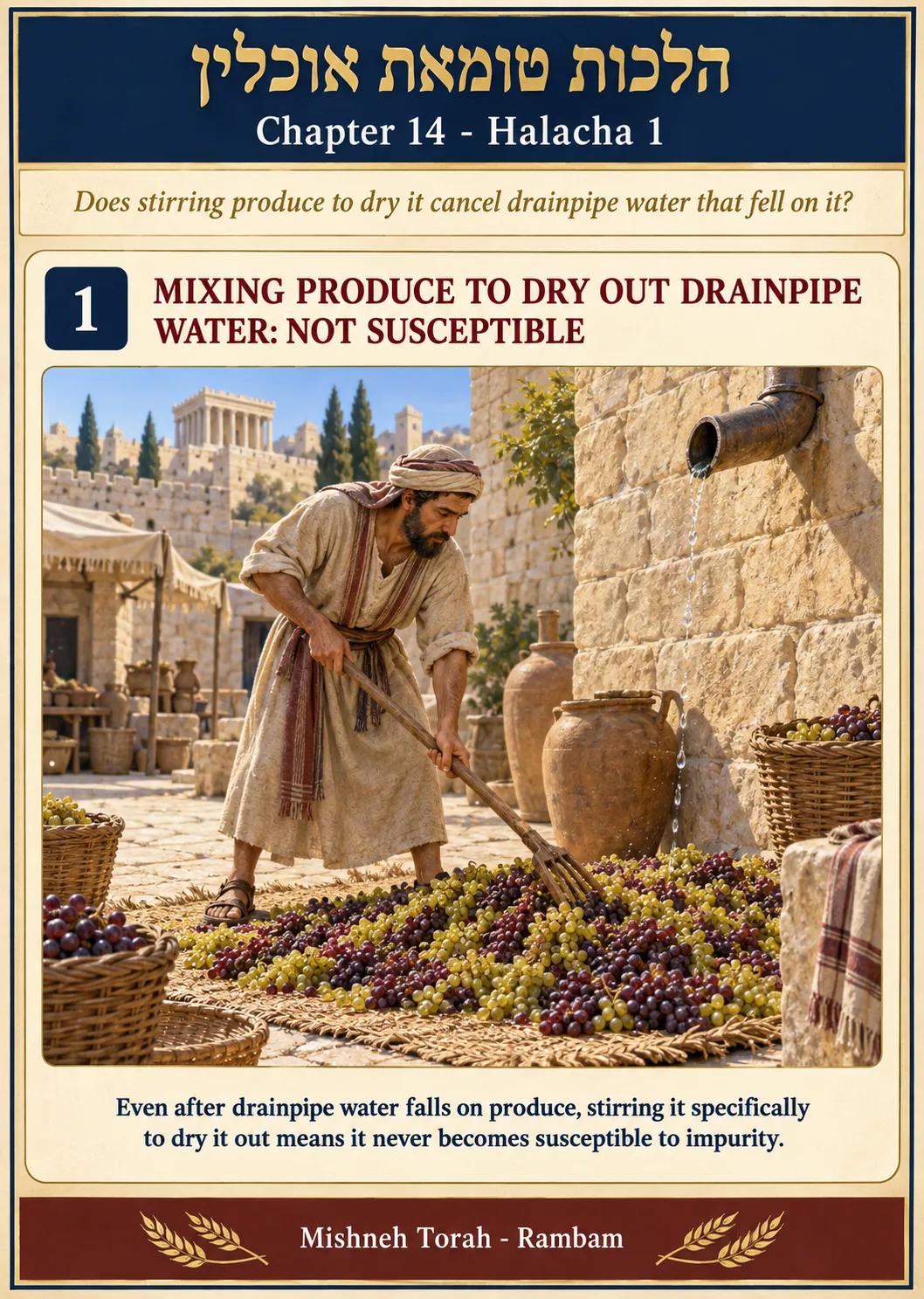 Infographic for halacha 14:1