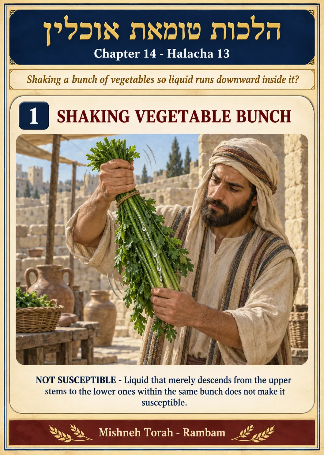 Infographic for halacha 14:13