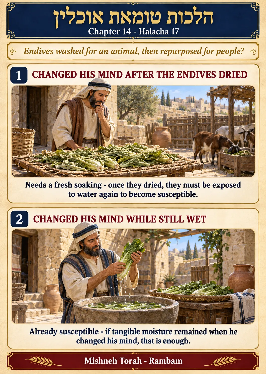 Infographic for halacha 14:17