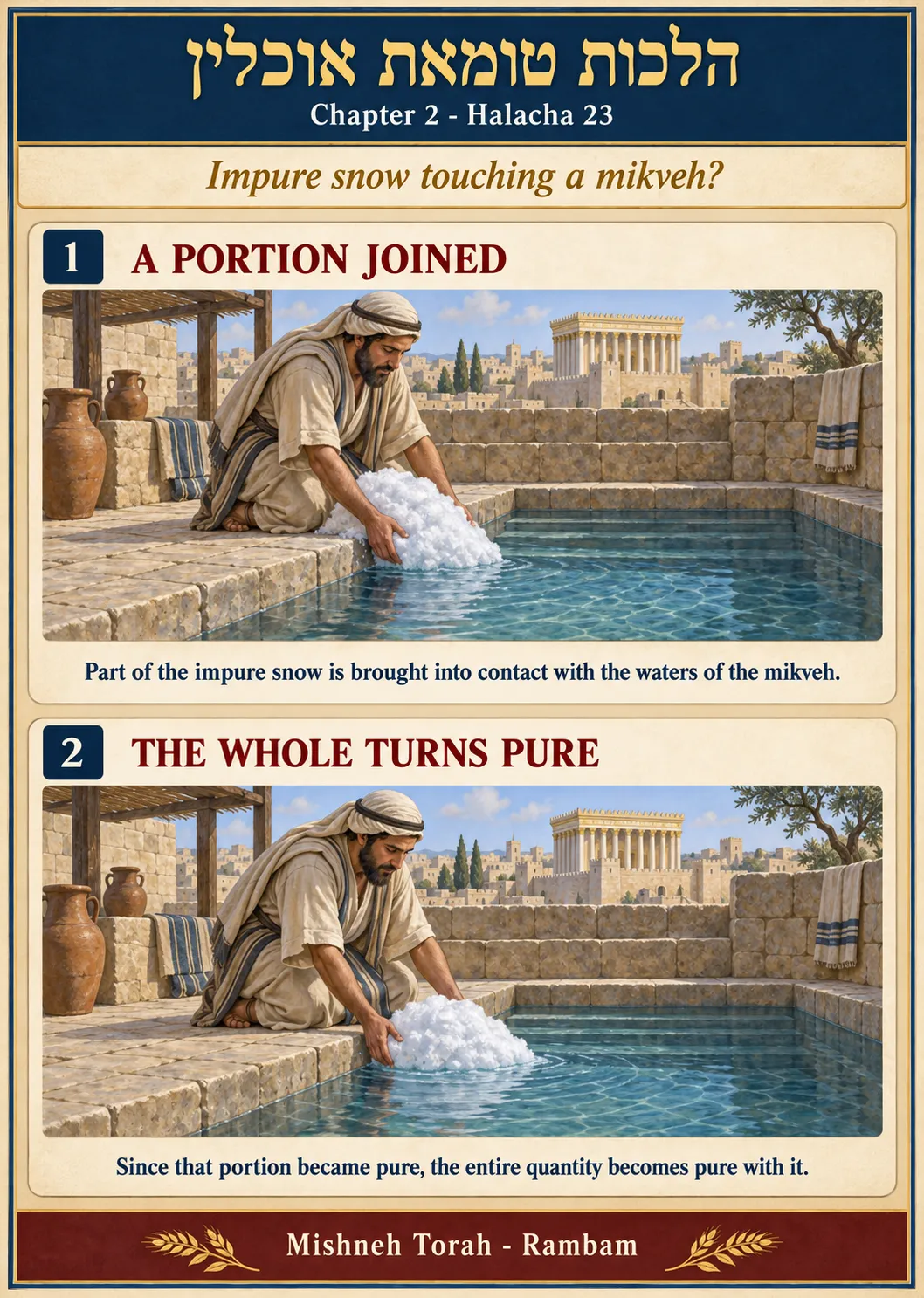 Infographic for halacha 2:23