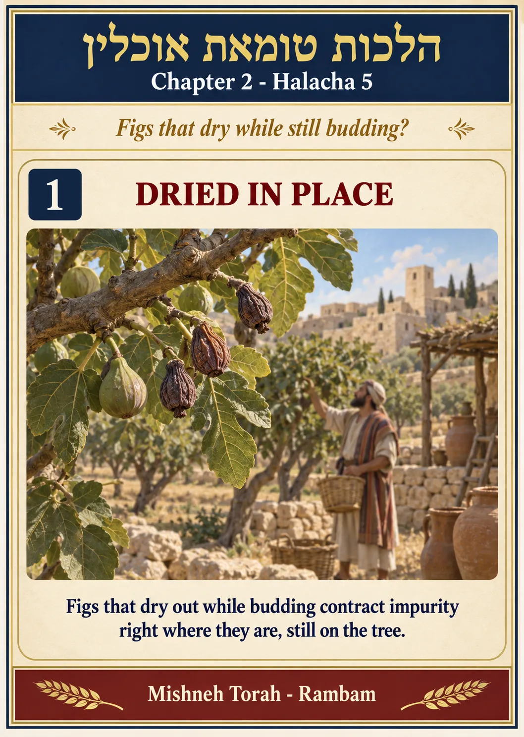 Infographic for halacha 2:5