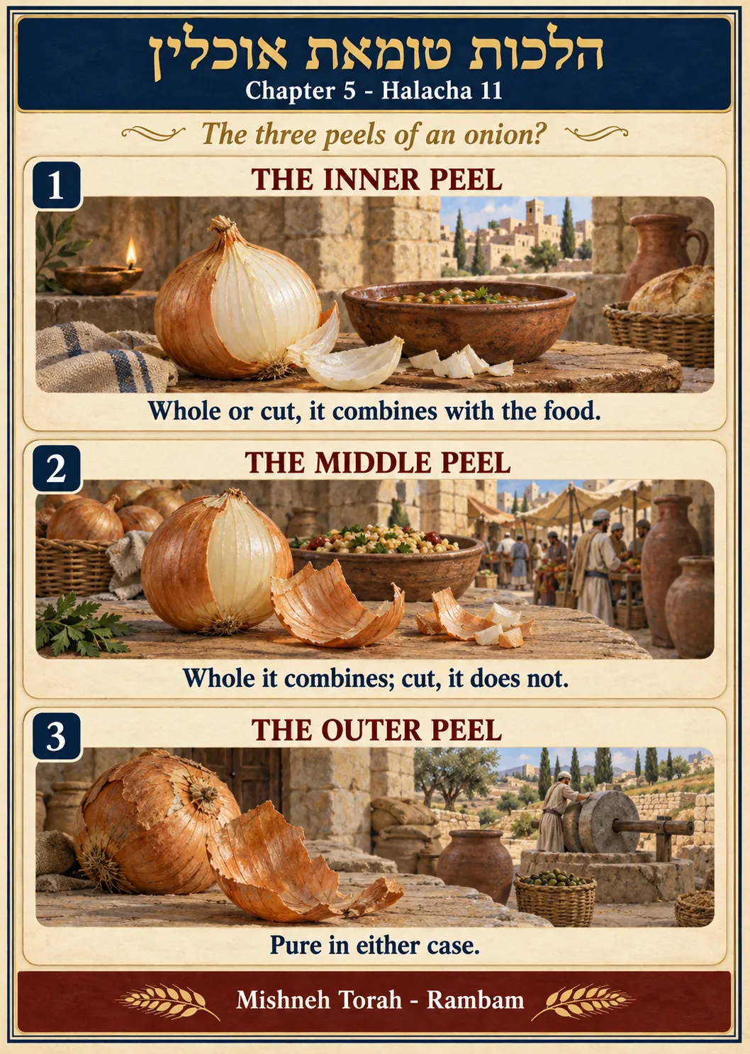 Infographic for halacha 5:11