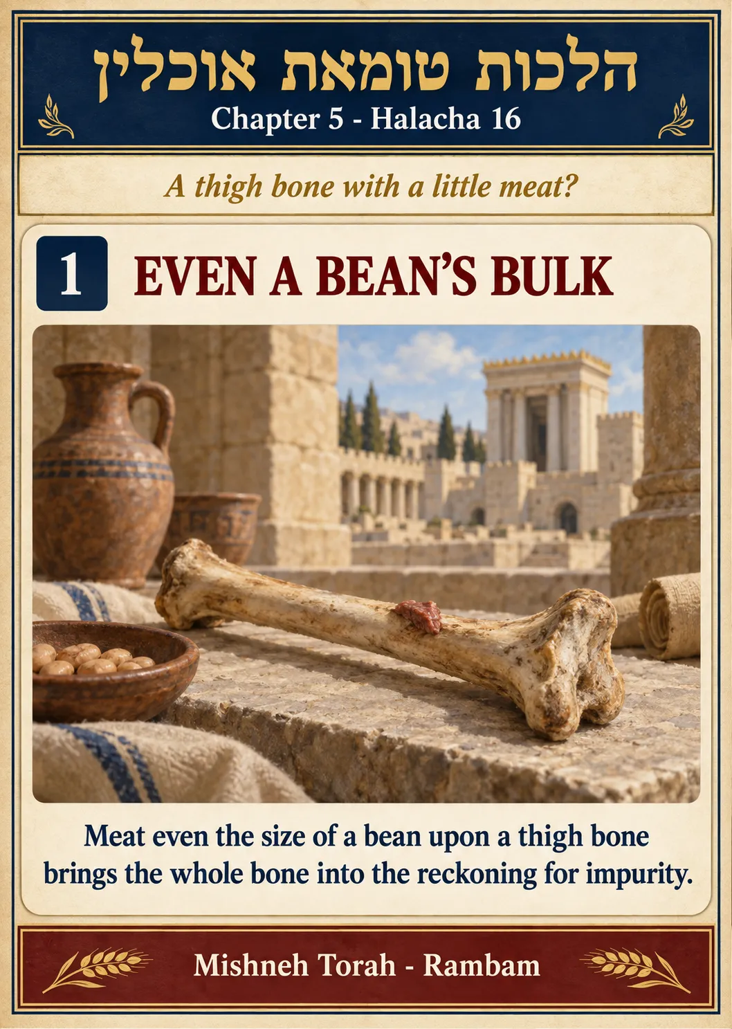 Infographic for halacha 5:16