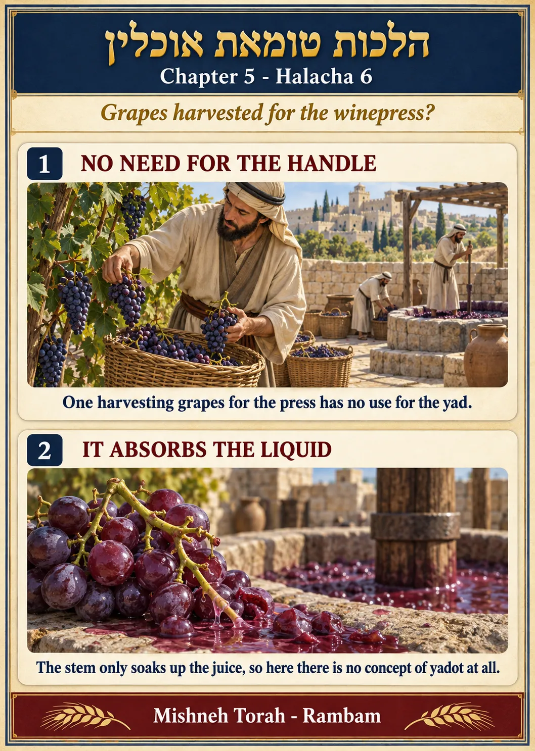 Infographic for halacha 5:6