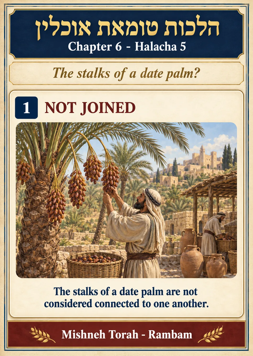 Infographic for halacha 6:5