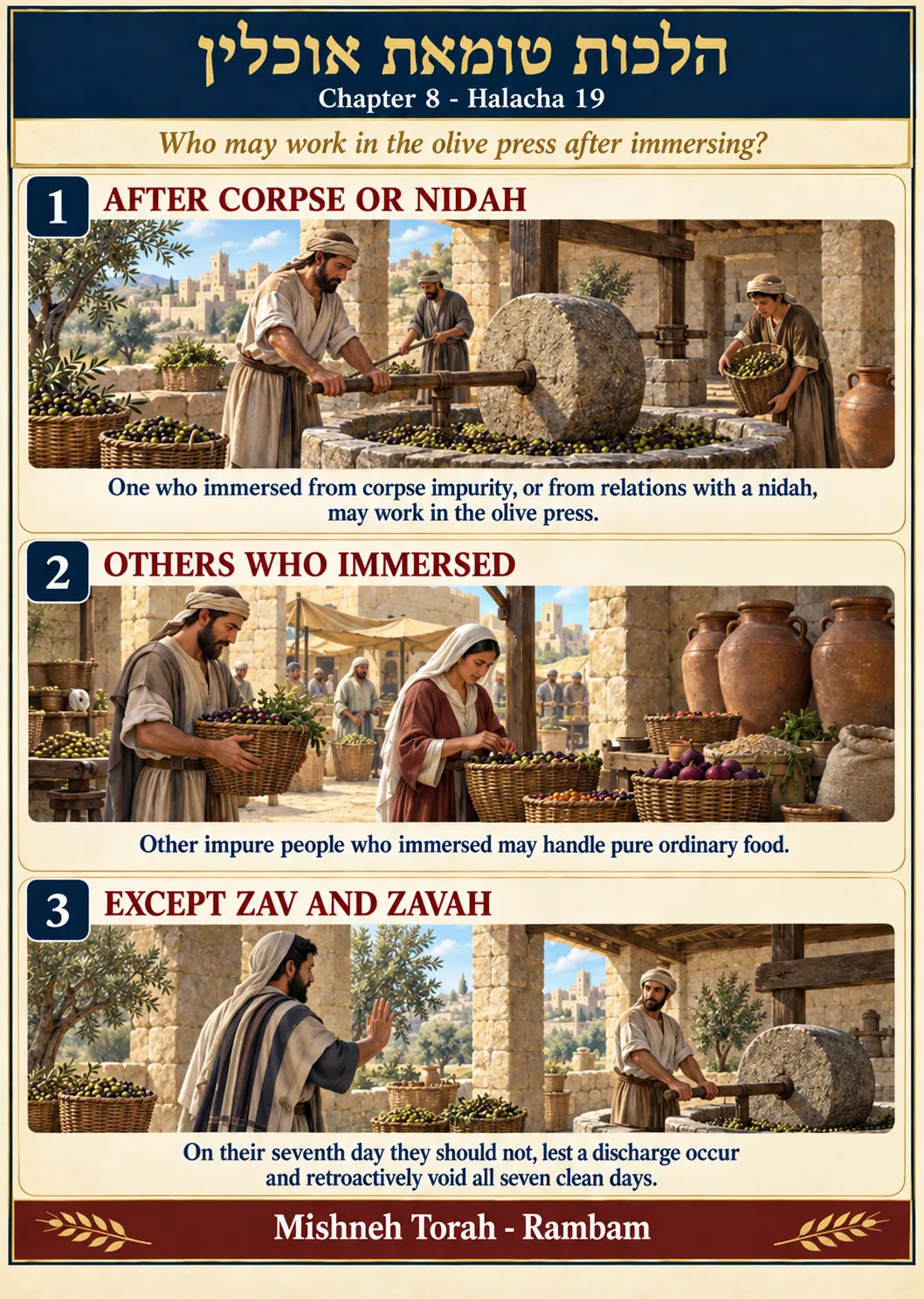 Infographic for halacha 8:19