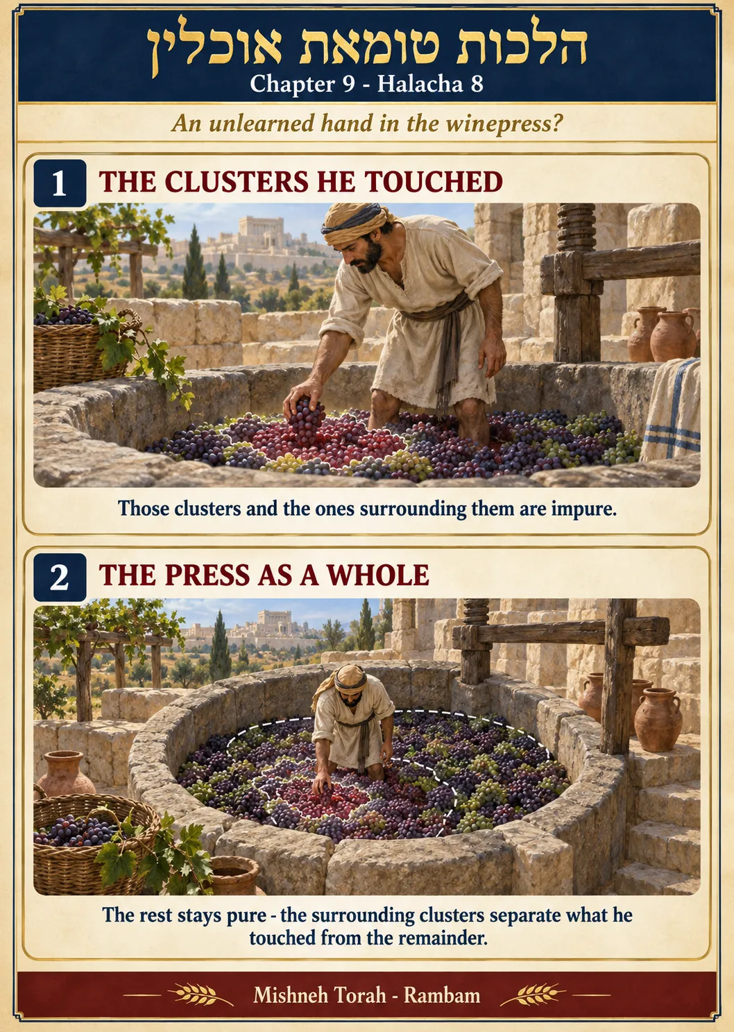 Infographic for halacha 9:8