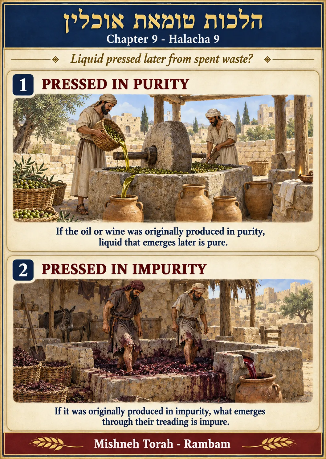Infographic for halacha 9:9