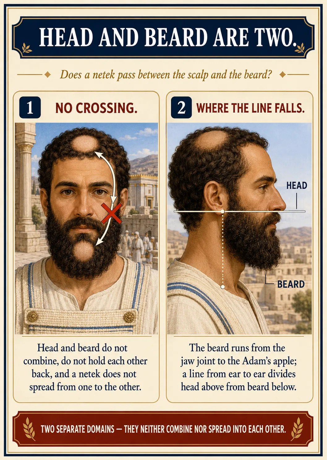 Infographic for halacha 8:14: HEAD AND BEARD ARE TWO — Does a netek pass between the scalp and the beard?