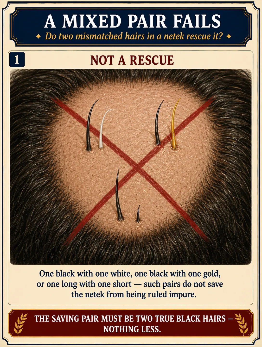 Infographic for halacha 8:7: A MIXED PAIR FAILS — Do two mismatched hairs in a netek rescue it?